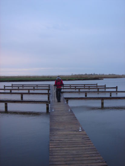 Neusiedler See