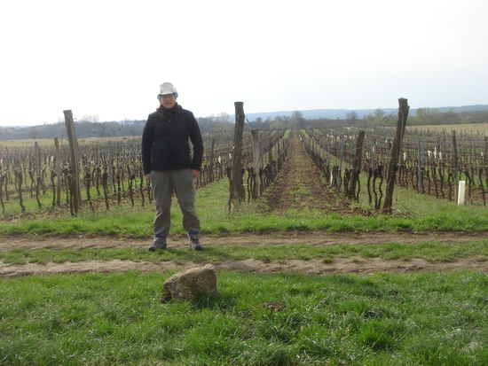 Meine Schwester und die Weinplantagen