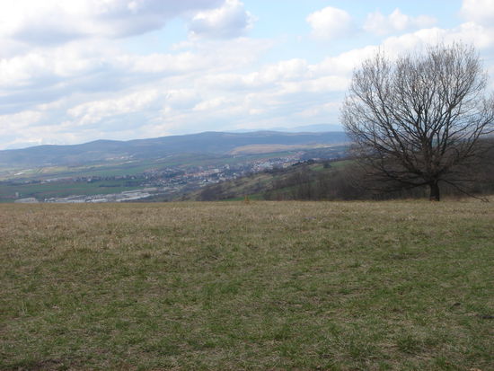 Am Marzerkogel mit Blick auf Mattersburg