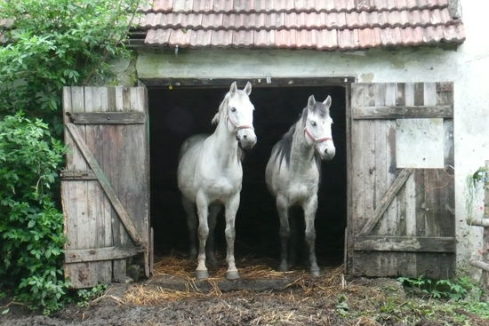 Impressionen am Wegesrand