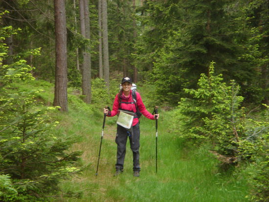 sehr viel Waldwege, Karte natürlich immer dabei