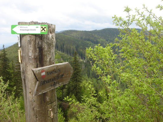 ach so... ja eh nur mehr über diese ganze Alm