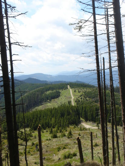 Highway auf der Alm