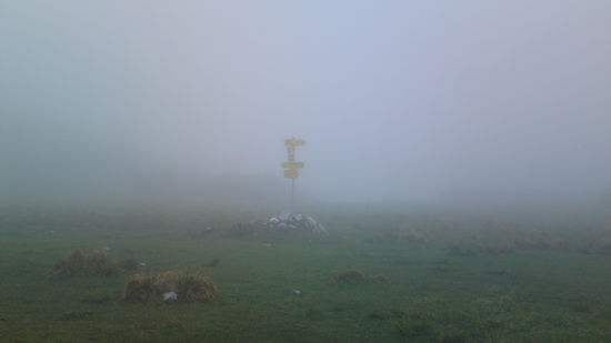 mystische Nebellandschaft