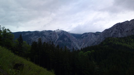 Blick zurück auf das Habsburghaus (Bild Mitte)