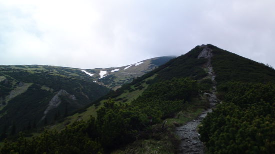 Bis zu den Schneefeldern und danach nur mehr eine Stunde bis zum Schneealpenhaus!