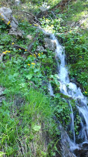 wunderschöne Quellen beim Abstieg im Karlgraben