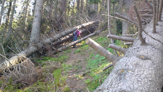 Da muss man sich durchkämpfen! 