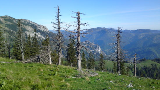 Wunderbare Ausblicke in der Früh!