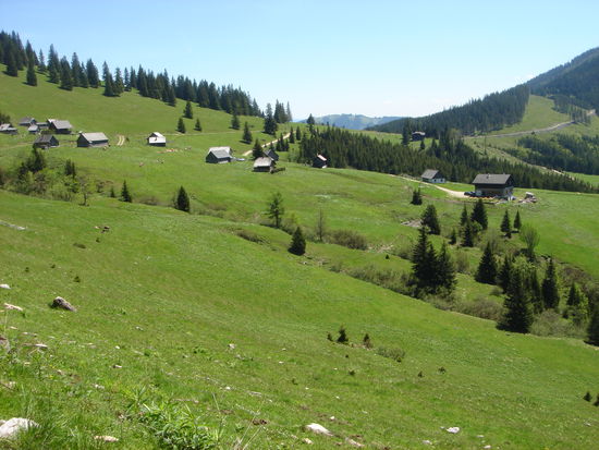 Turnauer Alm