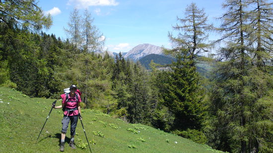 Im Hintergrund die Hohe Veitsch!