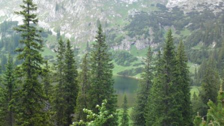 Sackwiesensee 1418 m
