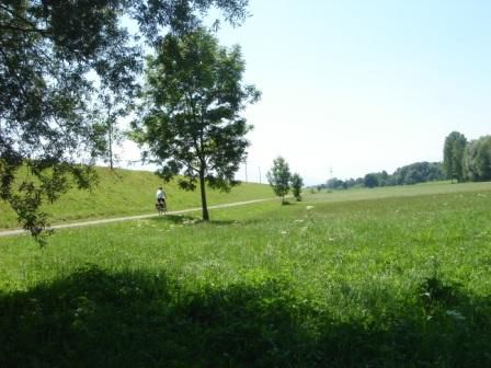 Am Radweg nach Lustenau