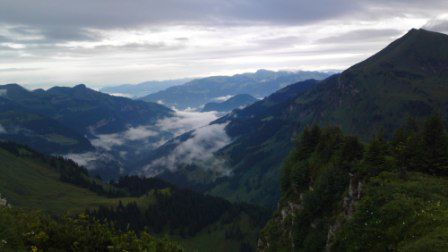 Morgenstund hat Gold im Mund!