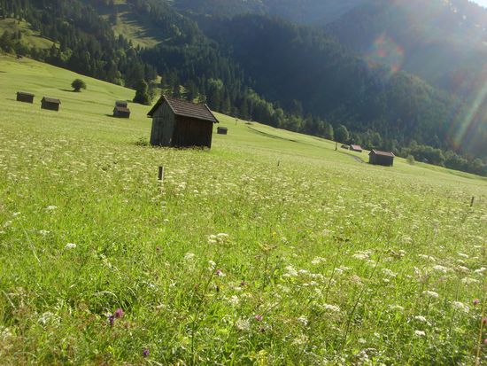 SONNE!!!!!!!!!!! yuhhhuuuu!!!!!