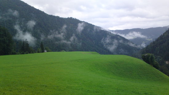 Das saftige Grün hebt sich ab... vom verregneten und nebeligen und bewölkten Wetter...