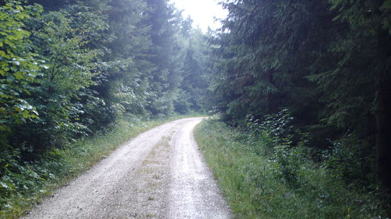 So ging das heute 20 km lang dahin...