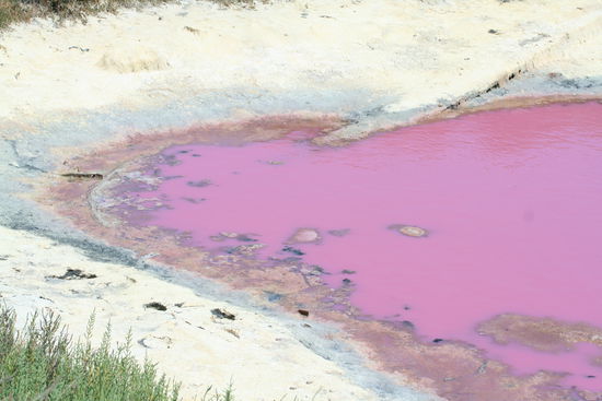 pinker See. Das Pink entsteht durch Bakterien im Wasser. Diese findet man wohl oft in der Nähe grösserer Salzvorkommen.