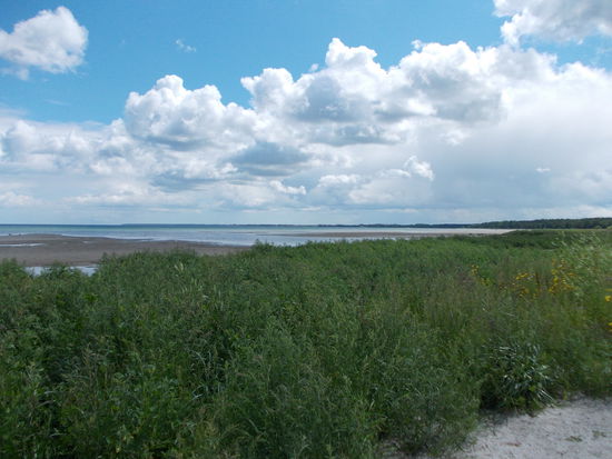 Auf dem Weg zum Strand