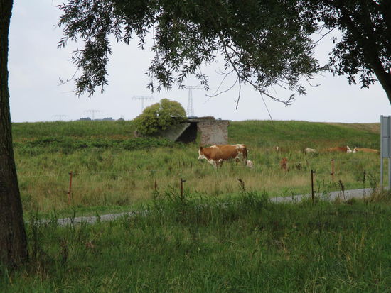 Reste der Raketenbunker