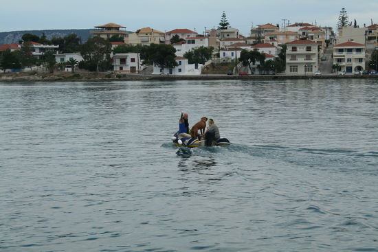 Auf zum Hundespaziergang