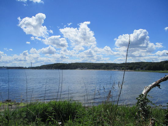 Bevor man hinter Krusa zum ersten Mal die Förde sieht