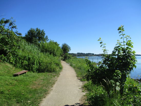 Der Weg verläuft die meiste Zeit direkt am Ufer
