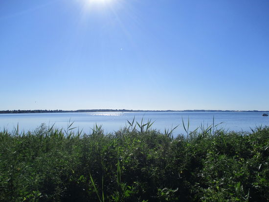 Früh morgens, kurz hinter dem Camping Laerkelunden