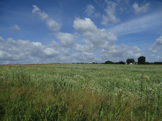 Blick auf Dybboel Mühle