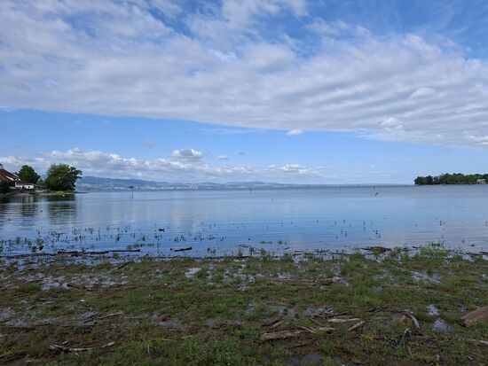 Am Bodensee angekommen
