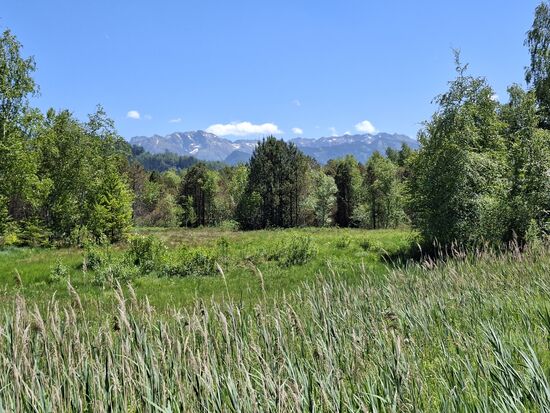 Unterwegs im Alpenvorland