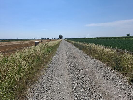 Jetzt geht es über schreckliche Schotterpisten durch die Hitze