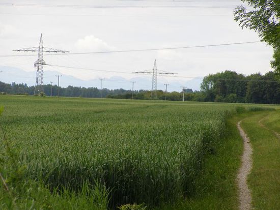 im Hintergrund nähern sich die Alpen