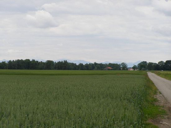 dahinten kommen die Alpen