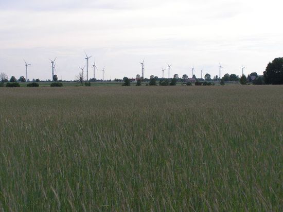 ein Windpark irgendwo in Nord-Brandenburg und ich hatte Rückenwind