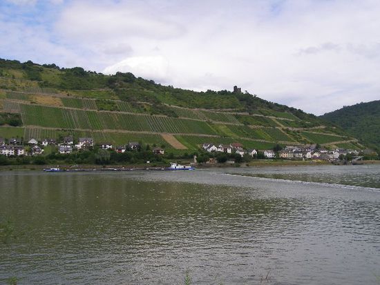 das schöne Mittelrheintal beginnt