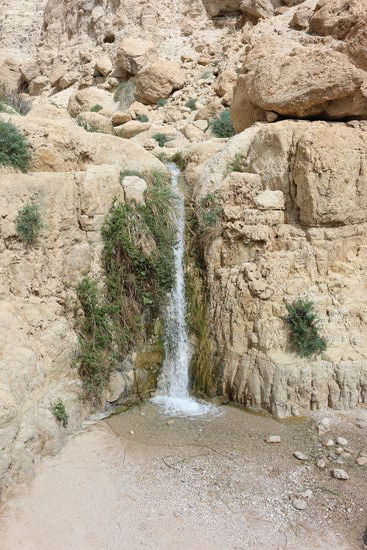 Unterer Wasserfall bei Ein Gedi