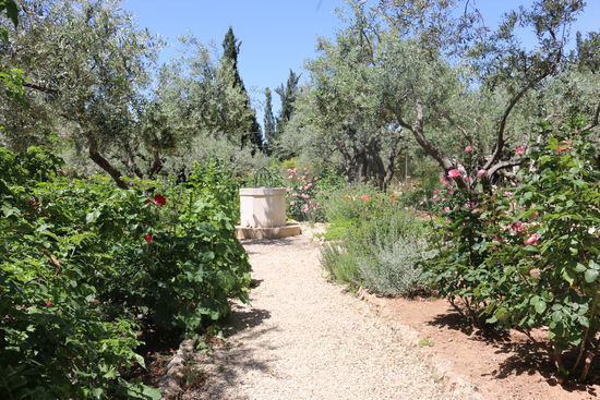 Garten Gethsemane