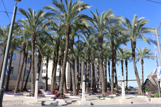 In der Neustadt von Jerusalem