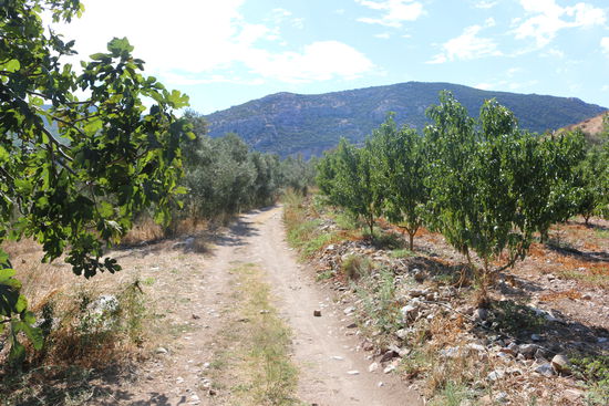 Schöner Rückweg von Ephesus nach Selcuk