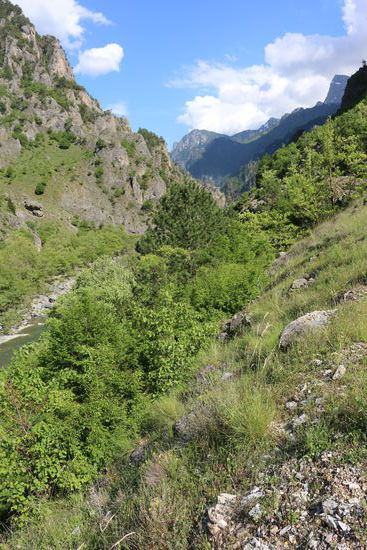 Bergblick beim Spazieren gehen