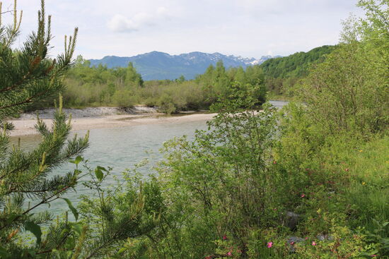 An der Isar etwas südlich von Bad Tölz