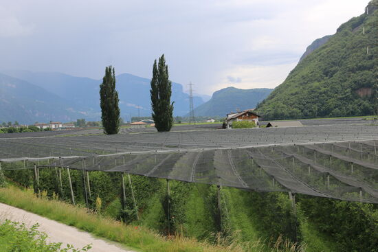 Es geht durch Obstplantagen