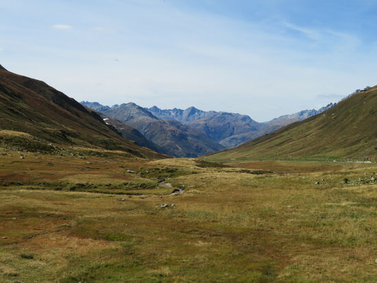Der Zahnradantrieb hat uns bis über die Baumgrenze gebracht