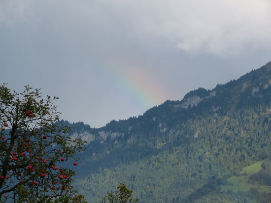 Ein Regenbogen, sichtbar während der Seilbahn-Fahrt