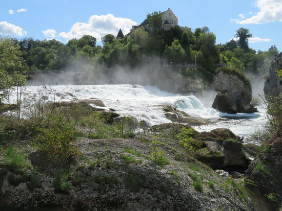 Rheinfall von der Seite