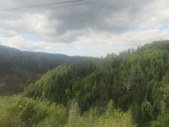 Fahrt durch den Schwarzwald - Die Schweizer Züge haben eindeutig sauberere Scheiben