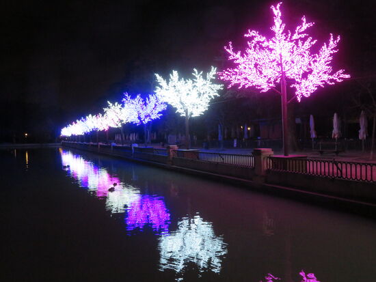 Schön beleuchteter Park