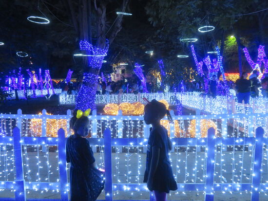 Parque Navidad