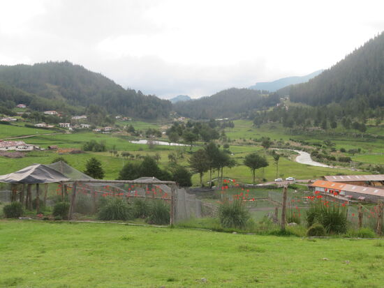 Granja Porcón
